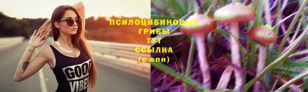spice Алексеевка