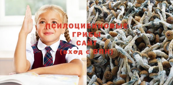 spice Алексеевка