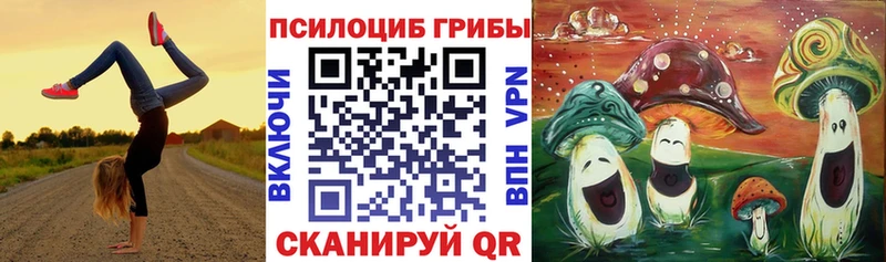 Галлюциногенные грибы прущие грибы Кола
