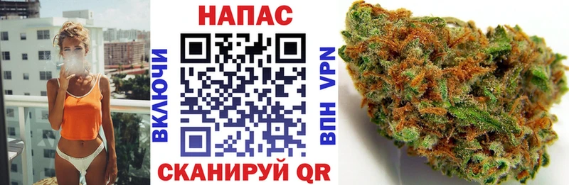 Шишки марихуана MAZAR  Кола 